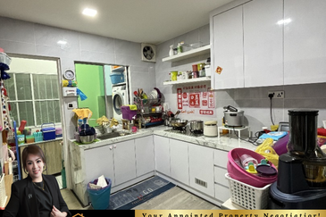 Taman Millenium Kingfisher