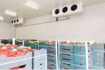 Commercial Cold Room | KKIP Selatan | For Rent