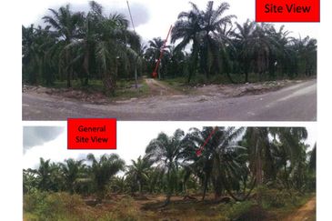 Freehold Agricultural Land zoned for Residential Use, 9.993 Acres For Sale at Mukim Kapar, Klang, RM18 psf Negotiable