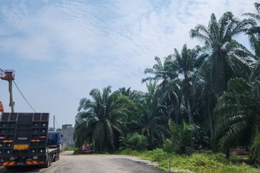4.1 Acres Kampung Ijok, Kuala Selangor Industrial Land For Sale @ RM 55 psf Negotiable