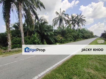 Kampung Endah Land Kanchong Tengah  Banting 📌1.231 acres  📌 Beside Tar road 📌 Freehold  , Selangor, Banting