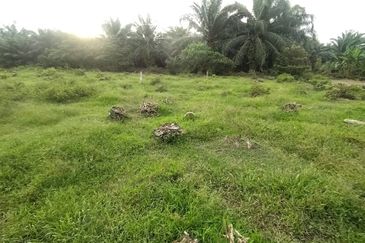 Kanchong Tengah  Kampung Endah  Banting  📌 2.5 acres 📌Beside Stone Road  🎈2.5 Acres Flat Land 🎈 * Agriculture Land  🎈 * Freehold