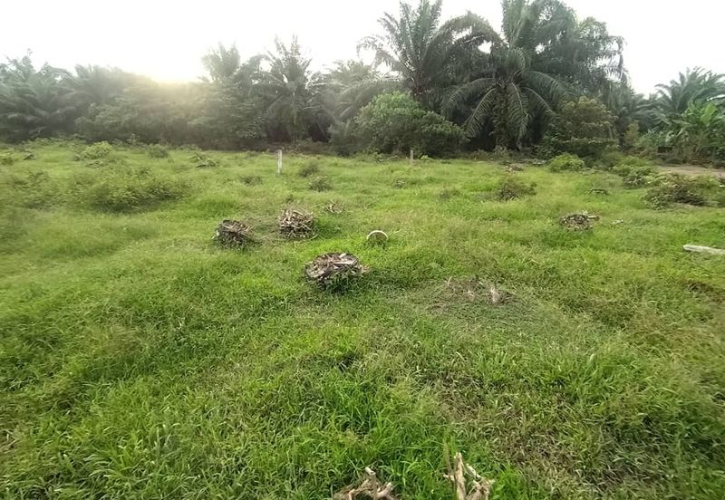 Kanchong Tengah  Kampung Endah  Banting  📌 2.5 acres 📌Beside Stone Road  🎈2.5 Acres Flat Land 🎈 * Agriculture Land  🎈 * Freehold