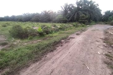 Kanchong Tengah  Kampung Endah  Banting  📌 2.5 acres 📌Beside Stone Road  🎈2.5 Acres Flat Land 🎈 * Agriculture Land  🎈 * Freehold