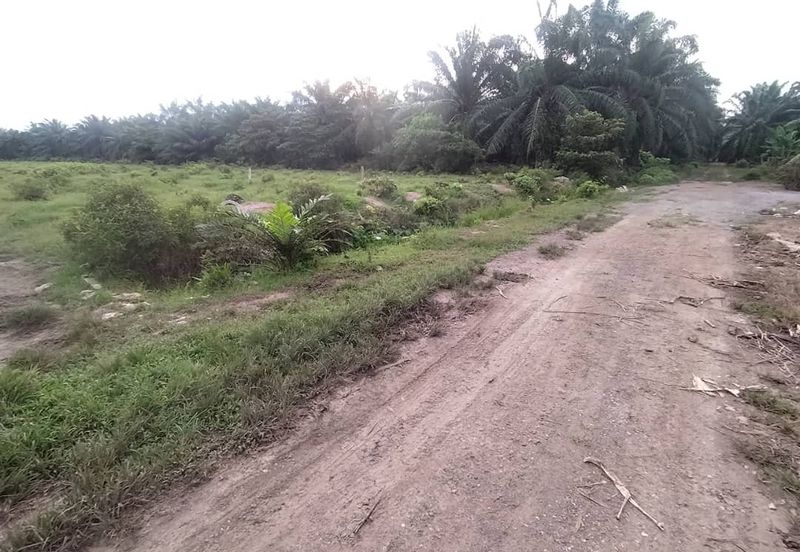 Kanchong Tengah  Kampung Endah  Banting  📌 2.5 acres 📌Beside Stone Road  🎈2.5 Acres Flat Land 🎈 * Agriculture Land  🎈 * Freehold