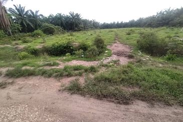 Kanchong Tengah  Kampung Endah  Banting  📌 2.5 acres 📌Beside Stone Road  🎈2.5 Acres Flat Land 🎈 * Agriculture Land  🎈 * Freehold