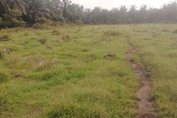 Kanchong Tengah  Kampung Endah  Banting  📌 2.5 acres 📌Beside Stone Road  🎈2.5 Acres Flat Land 🎈 * Agriculture Land  🎈 * Freehold