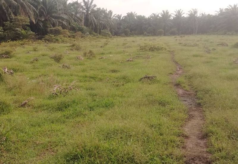 Kanchong Tengah  Kampung Endah  Banting  📌 2.5 acres 📌Beside Stone Road  🎈2.5 Acres Flat Land 🎈 * Agriculture Land  🎈 * Freehold