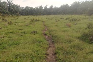 Kanchong Tengah  Kampung Endah  Banting  📌 2.5 acres 📌Beside Stone Road  🎈2.5 Acres Flat Land 🎈 * Agriculture Land  🎈 * Freehold