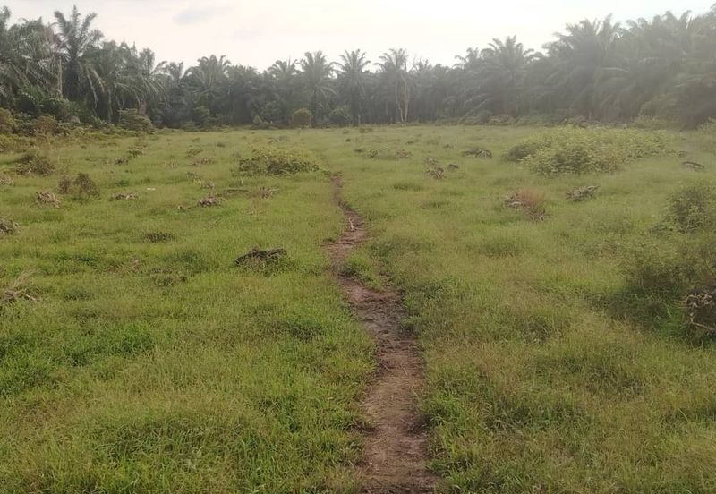 Kanchong Tengah  Kampung Endah  Banting  📌 2.5 acres 📌Beside Stone Road  🎈2.5 Acres Flat Land 🎈 * Agriculture Land  🎈 * Freehold