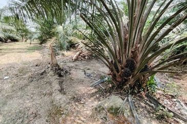 Telok Panglima Garang