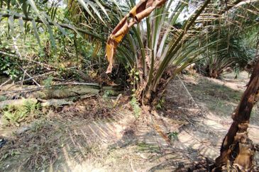 Telok Panglima Garang