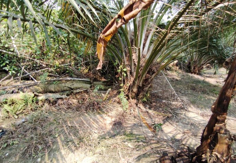 Telok Panglima Garang