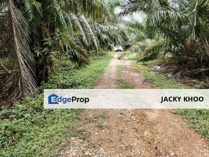 Kanchong Land Banting 📌3.8 Acres  📌BUMI LOT  📌Beside Stone Road   🎈Leasehold  🎈Beside Chicken Farm House  🎈Electricity and water side by side  , Selangor, Banting