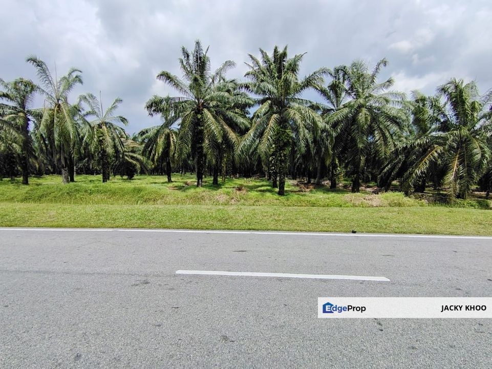 Banting Kanchong Tengah 📌4.5 Acres  📌Currently Planting old Palm Oil Trees  📌Beside Main Tar Road  🎈Freehold , Selangor, Banting