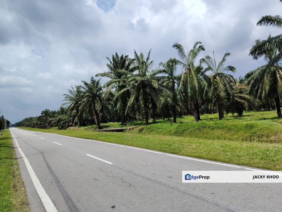 Banting Kanchong Tengah 📌4.5 Acres  📌Currently Planting old Palm Oil Trees  📌Beside Main Tar Road  🎈Freehold , Selangor, Banting