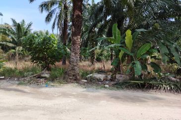 Kawasan Perusahaan Telok Mengkuang