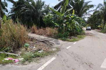 Kawasan Perusahaan Telok Mengkuang