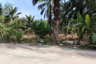 Kawasan Perusahaan Telok Mengkuang