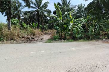 Kawasan Perusahaan Telok Mengkuang