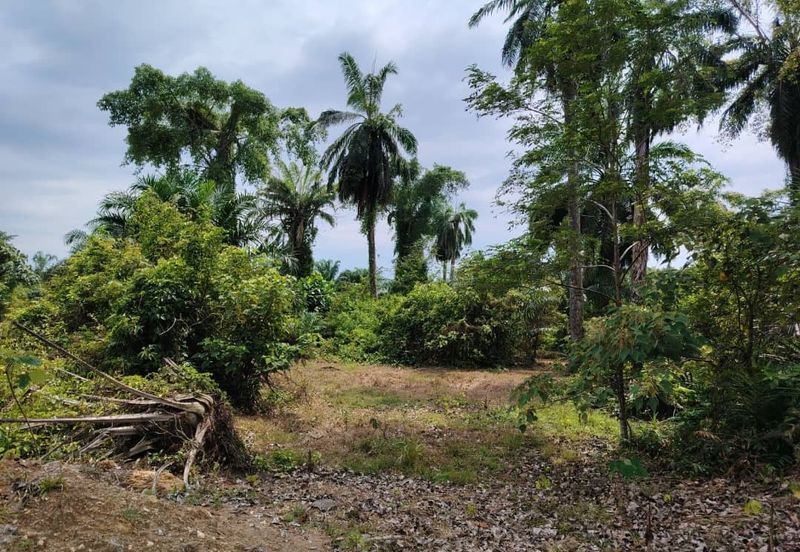 Banting Bandar Land 📌44 Acres  📌Freehold  📌Suitable for Education Centre development  🎈Tar Road can reach the land  🎈Beside a Kolej or Collage  