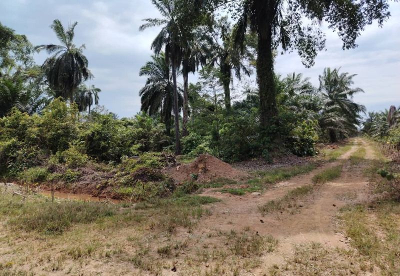 Banting Bandar Land 📌44 Acres  📌Freehold  📌Suitable for Education Centre development  🎈Tar Road can reach the land  🎈Beside a Kolej or Collage  