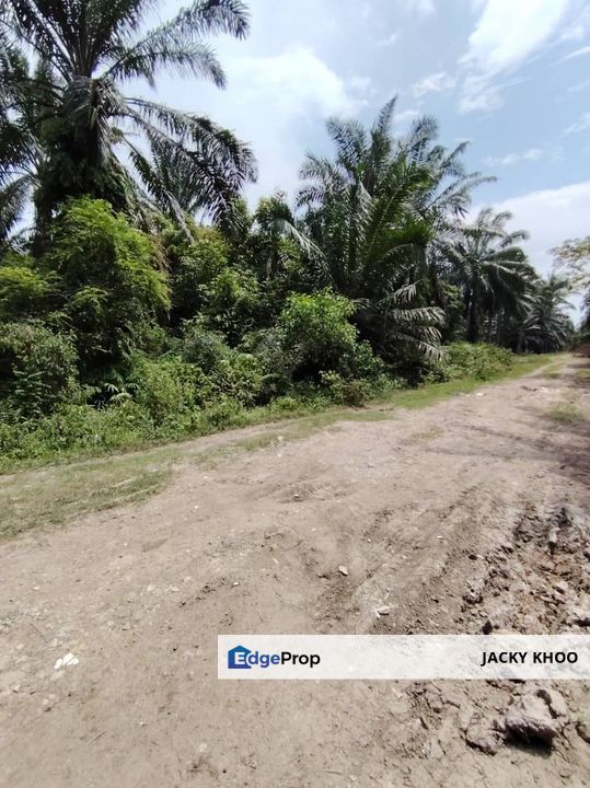 Kapar Kampung Perepat Land  📌1.1 Acres  📌Beside Stone Road 📌Beside Reserve Road   , Selangor, Kapar 