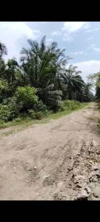 Kapar Kampung Perepat Land  📌1.1 Acres  📌Beside Stone Road 📌Beside Reserve Road   , Selangor, Kapar 