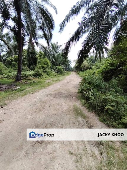 Kapar Kampung Perepat Land  📌1.1 Acres  📌Beside Stone Road 📌Beside Reserve Road   , Selangor, Kapar 