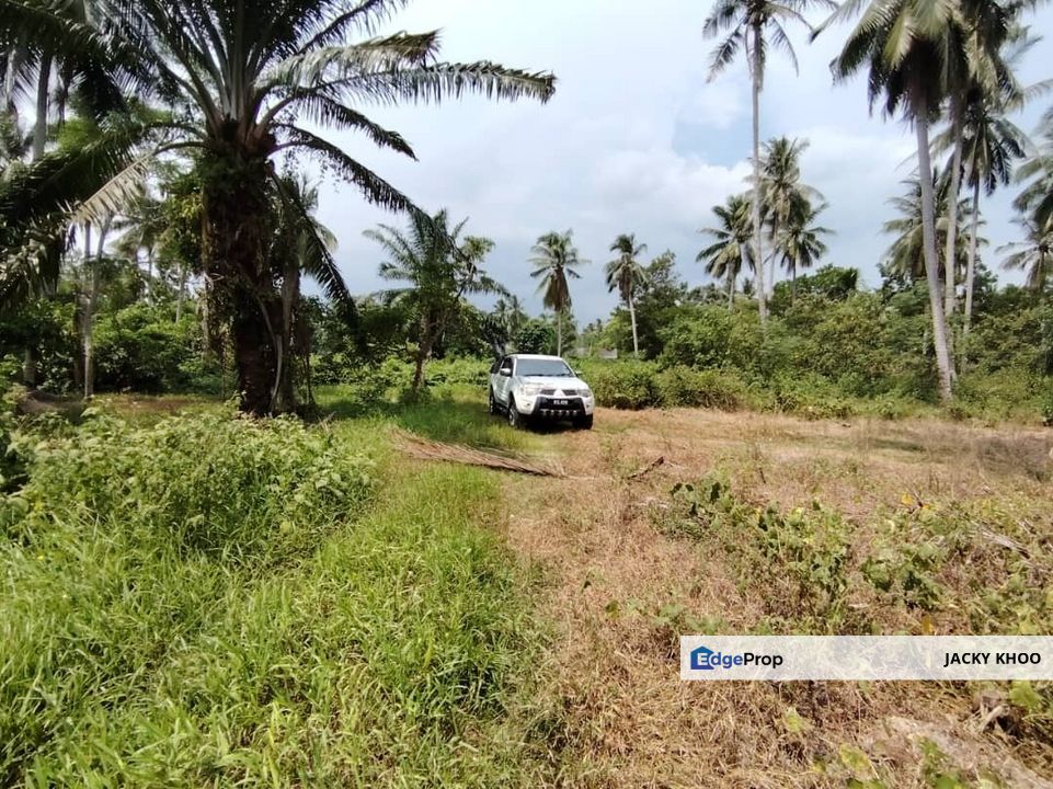 Kapar Perepat Land Klang 📌1.0 Acres  📌Beside Stone Road  📌Beside Reserve Road  📌Tar Road 200 Meters   , Selangor, Kapar 