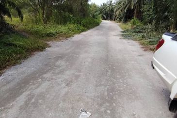 Jalan Telok Mengkuang