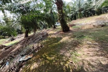 Jalan Telok Mengkuang