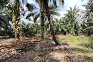 Jalan Telok Mengkuang