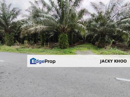 Banting Kampung Kanchong Tengah Land 📌2.5 Acres  📌Beside Tar Road  📌Beside Jalan Serai  🎈Leasehold  🎈Non Bumi Lot  🎈Currently planting oil palm , Selangor, Banting