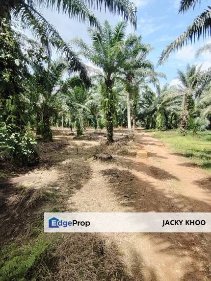 Jenjarom Bukit Perah Land 📌2.5 Acres  📌Corner Lot  📌Beside Reserve Road  📌Beside Stone Road   , Selangor, Jenjarom