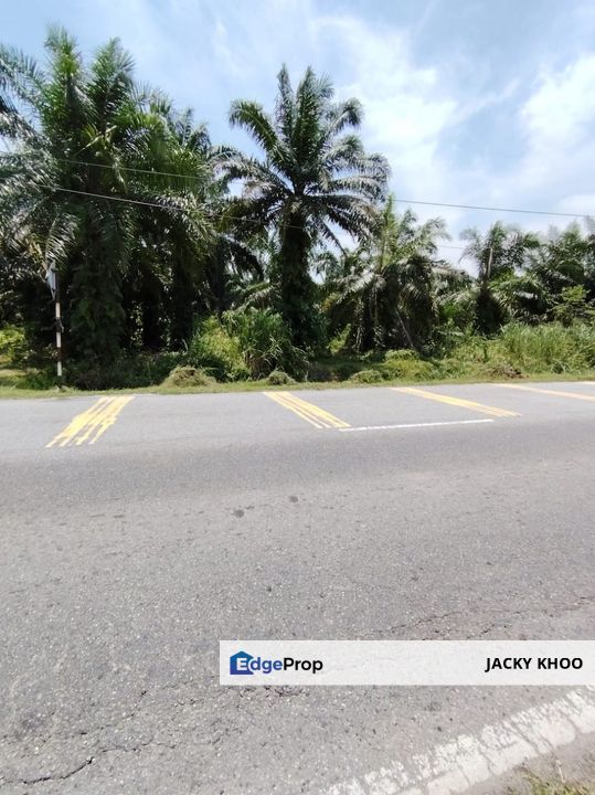 Banting Sungai Buaya Land 📌3 Acres  📌Freehold  , Selangor, Banting
