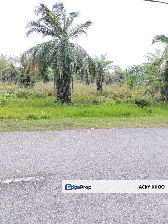 Kuala Selangor Kampung Api Api   Residential Land 📌11.5 Acres  📌Freehold  📌Just Beside Tar Road  , Selangor, Kuala Selangor