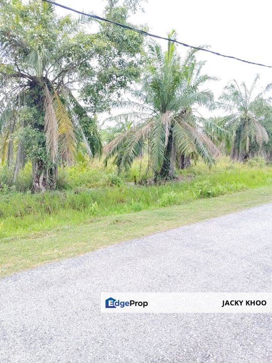 Kuala Selangor Kampung Api Api   Residential Land 📌11.5 Acres  📌Freehold  📌Just Beside Tar Road  , Selangor, Kuala Selangor