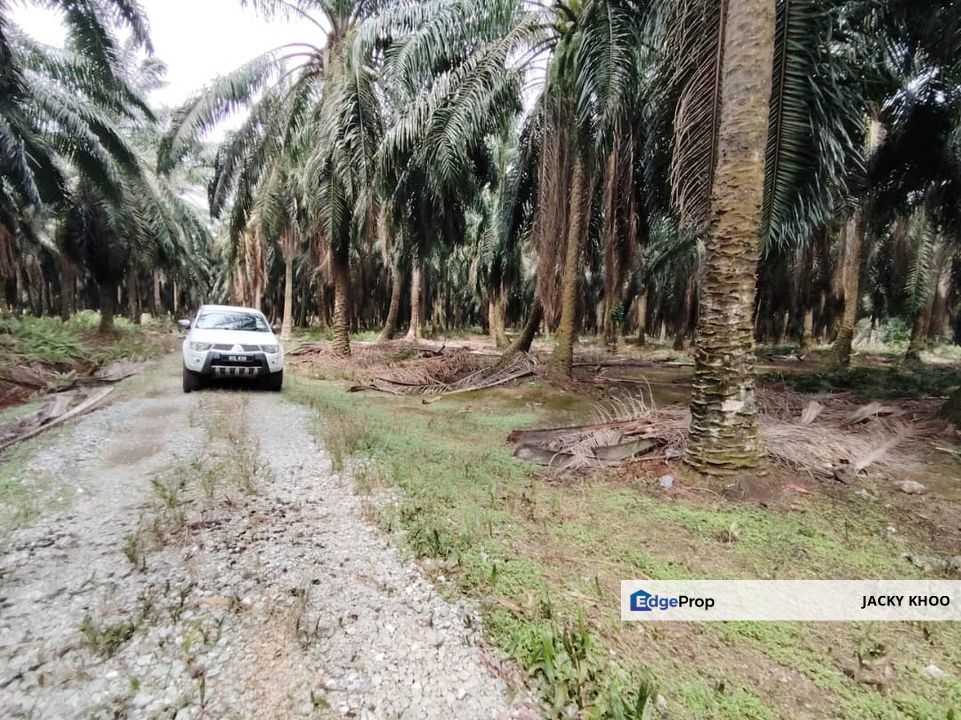 Banting  Bukit Changgang Land  📌2.8757 Acres  📌Beside Reserve Road  📌Zoning Residential  📌Tar Road 500 Meters  , Selangor, Kuala Langat