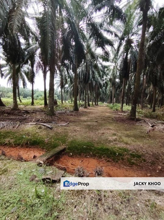 Banting  Bukit Changgang Land  📌2.8757 Acres  📌Beside Reserve Road  📌Zoning Residential  📌Tar Road 500 Meters  , Selangor, Kuala Langat