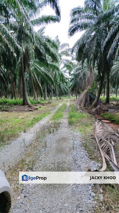 Banting  Bukit Changgang Land  📌2.8757 Acres  📌Beside Reserve Road  📌Zoning Residential  📌Tar Road 500 Meters  , Selangor, Kuala Langat