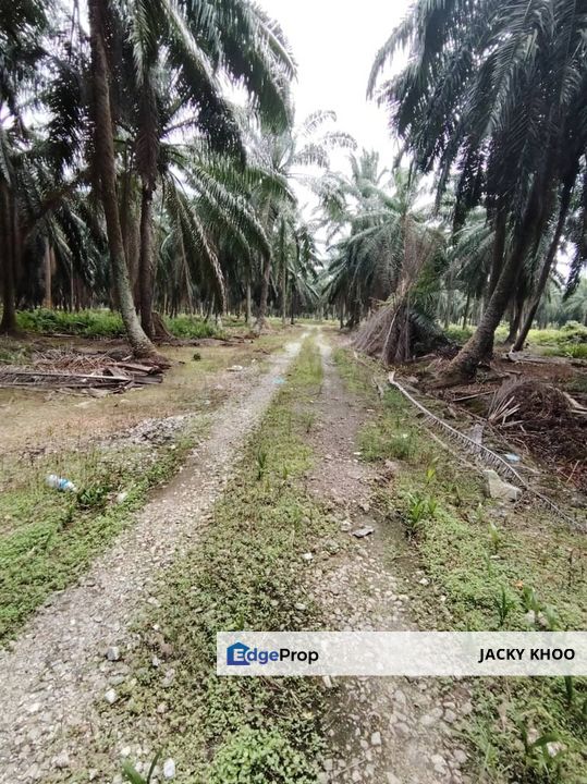 Banting  Bukit Changgang Land  📌2.8757 Acres  📌Beside Reserve Road  📌Zoning Residential  📌Tar Road 500 Meters  , Selangor, Kuala Langat