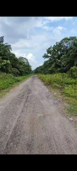 Sijangkang Land 📌 4.0 Acres  📌Jalan Sijangkang Batu 9 ( 400 meter )  📌 Beside Reserve Road   , Selangor, Telok Panglima Garang