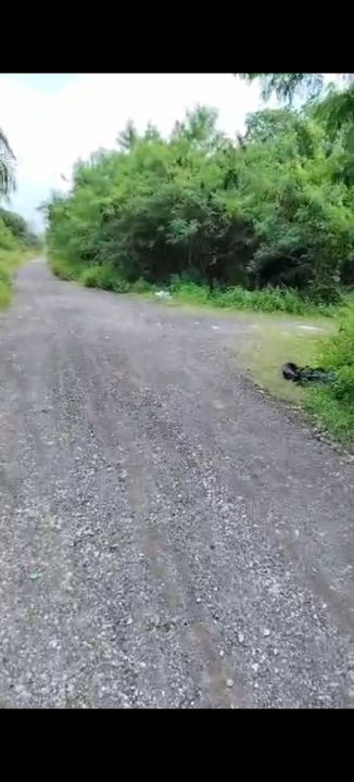 Sijangkang Land 📌 4.0 Acres  📌Jalan Sijangkang Batu 9 ( 400 meter )  📌 Beside Reserve Road   , Selangor, Telok Panglima Garang