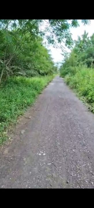 Sijangkang Land 📌 4.0 Acres  📌Jalan Sijangkang Batu 9 ( 400 meter )  📌 Beside Reserve Road   , Selangor, Telok Panglima Garang