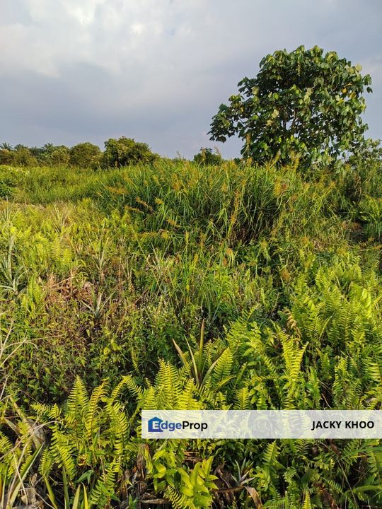 Klang Johan Setia Land 📌2 Acres  📌Beside Reserve Road  📌Rectangular Shape   🎈Leasehold  🎈Non Bumi Lot  🎈Jalan Sijangkang Utama 0.7 KM   , Selangor, Klang