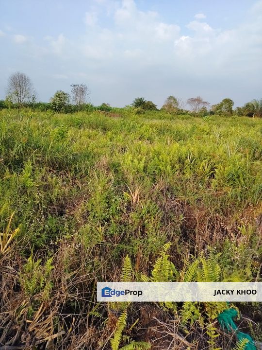 Klang Johan Setia Land 📌2 Acres  📌Beside Reserve Road  📌Rectangular Shape   🎈Leasehold  🎈Non Bumi Lot  🎈Jalan Sijangkang Utama 0.7 KM   , Selangor, Klang