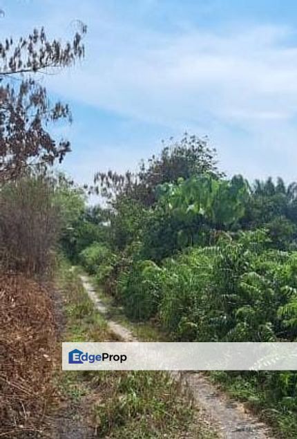 Malaysia Selangor  📌 Johan Setia Klang Land 📌2.0 Acres Agriculture Land for Sale 📌 Beside Reserve Road 📌Behind Nestle Distribution Center, Selangor, Klang