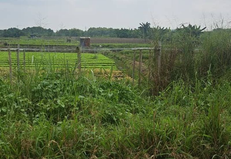 Kampung Johan Setia