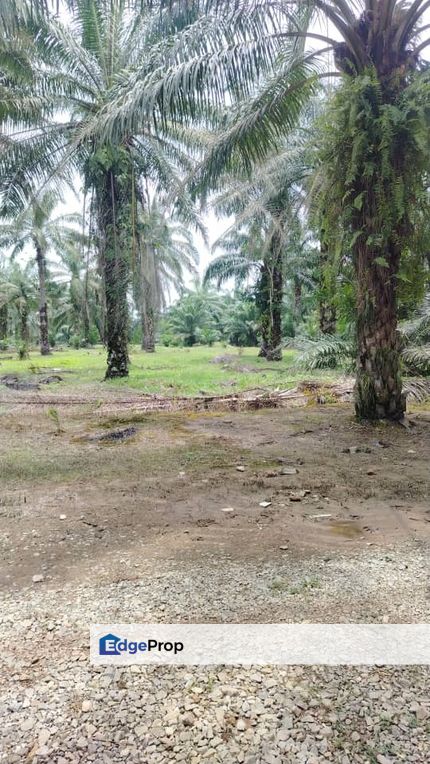 Malaysia Selangor Kuala Langat 📌Jenjarom  📌2.12 Acres Zoning Industrial Land for Sale , Selangor, Jenjarom